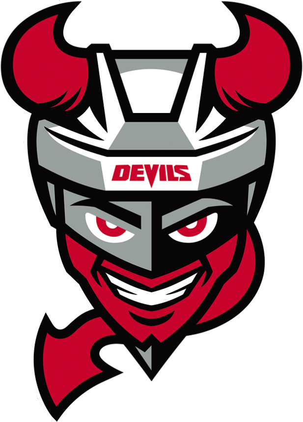 Binghamton Devils iron ons